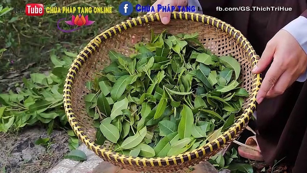 Trị Bướu Cổ - Bướu Tuyến Giáp  Vô Cùng Đơn Giản  Chùa Pháp Tạng. #09