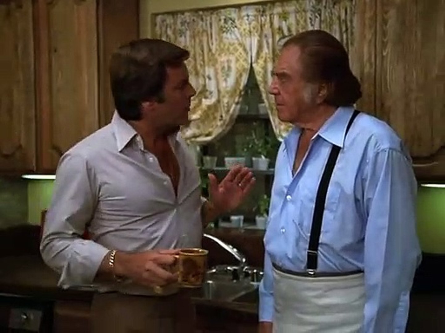 hart aber herzlich 25 die doppelgangerin staffel 2 folge 3 video dailymotion