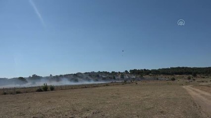 Son dakika haber: ÇANAKKALE - Ayvacık'ta çıkan anız yangını söndürüldü