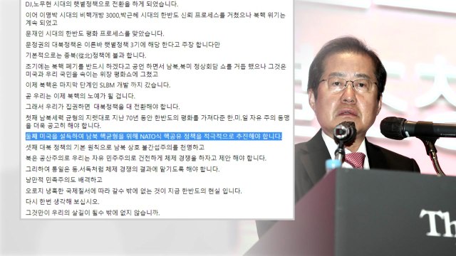 홍준표·유승민 북핵 억제 위해 한미 핵 공유 추진 / YTN