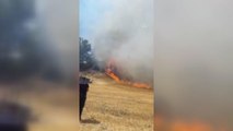 Son dakika gündem: Tarım arazisi ve ormanlık alanda yangın çıktı