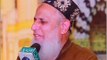 Hafiz Hafeez Ur Rehman Qadri Most  Emotional Bayan - Rasool ﷺ Se Mohabat - Islamic WhatsApp Status Video
