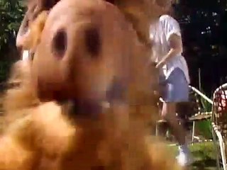 ALF 52. Nebenjob gesucht Staffel 2, Folge 26