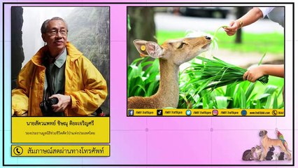 เที่ยวสวนสัตว์แบบเปิด-ปิดอย่างไรไม่ให้เกิดอันตรายต่อคนและสัตว์ : FM91 คลินิกสัตว์เลี้ยง : 10 ตุลาคม 2563