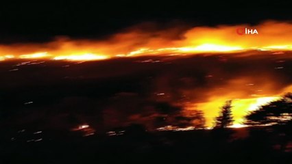 İzmir’de otluk alanda çıkan yangın kontrol altında