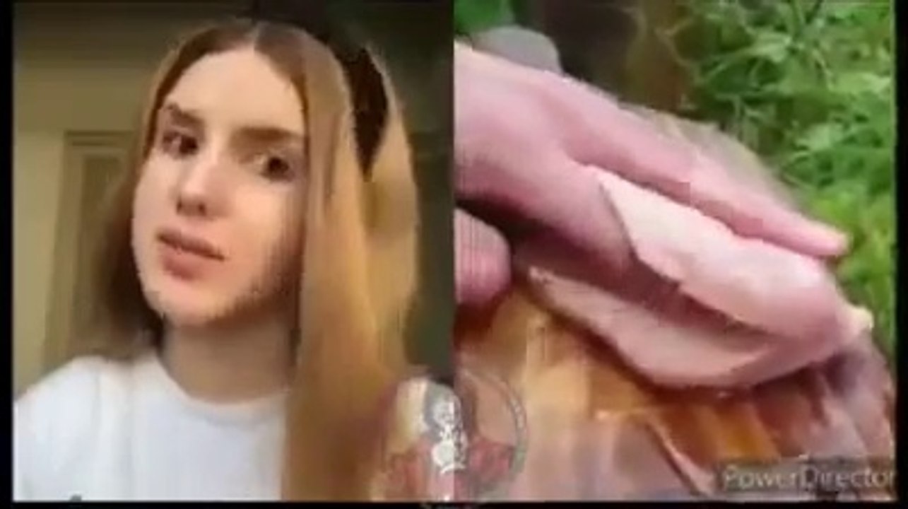 Reaccion de mujeres al cortar una pechuga de pollo