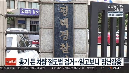 총기 든 차량 절도범 검거…알고 보니 '장난감총'