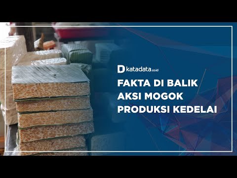 Fakta di Balik Aksi Mogok Produksi Kedelai | Katadata Indonesia