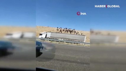 Niğde'de otoyol kenarına bırakılan göçmenler yakalandı