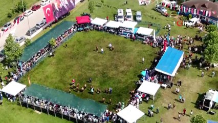 Ali Gürbüz'den bir haftada ikinci başpehlivanlık