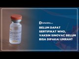 Belum Dapat Sertifikat WHO, Vaksin Sinovac Belum Bisa Dipakai Umrah? | Katadata Indonesia