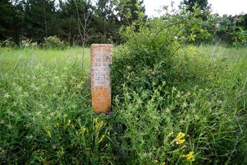 Karayolu kenarında kalan şehit mezarı ilgi bekliyor