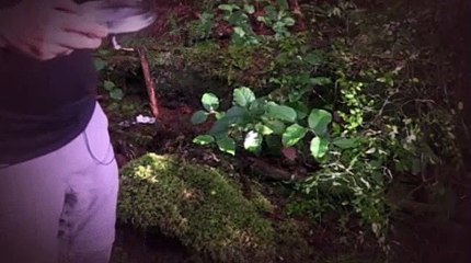 Alone S01E04 Stalked