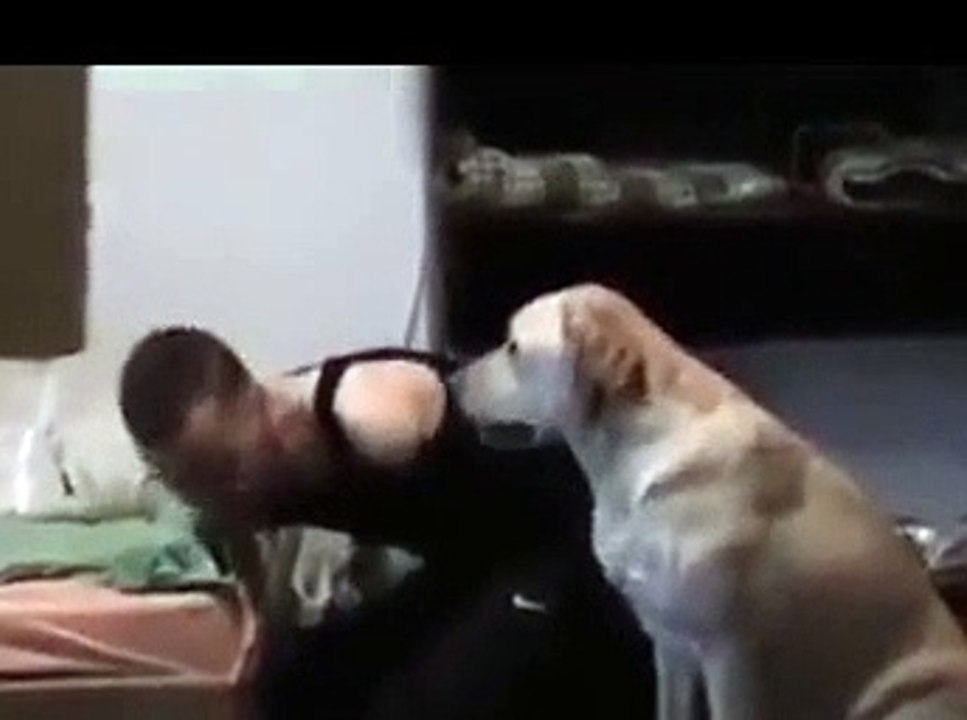 Engelli sahibine yardımcı olan köpek
