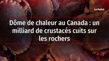 Dôme de chaleur au Canada : un milliard de crustacés cuits sur les rochers
