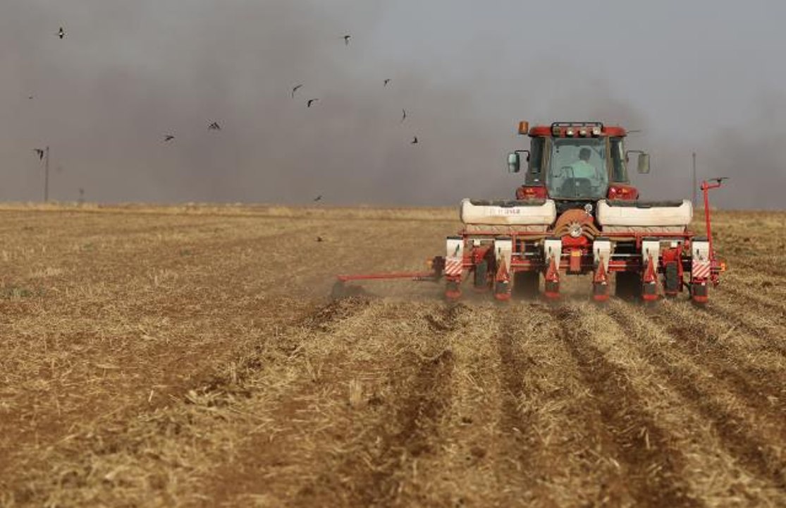 Mardin Ovası'nda çiftçiler kuraklık nedeniyle soya fasulyesine yöneldi