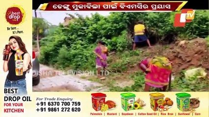 BMC On Toes As Dengue Cases Soar In Bhubaneswar