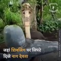 See A Wonderful Miracle Of Lord Shiva