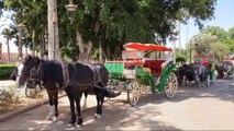 مرحبا بكم في مدينة الحمراء مراكش - Welcome to Marrakech Morocco