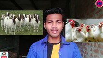 Vegetarian बने या  Non Vegetarian?Motivational video l Hindi By Meri Kahani Brand