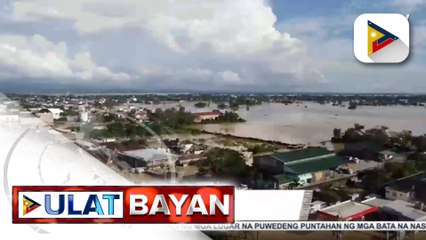 Higit 150-K na punla ng bamboo, itatanim ng DENR sa gilid ng Cagayan River
