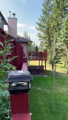 Bear Climbs Onto Balcony in Search of Food Source