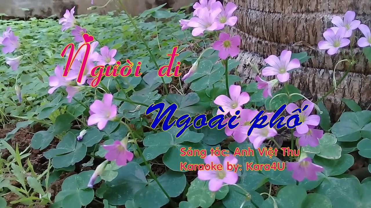 Người đi ngoài phố Karaoke - Tone nữ [Kara4U]