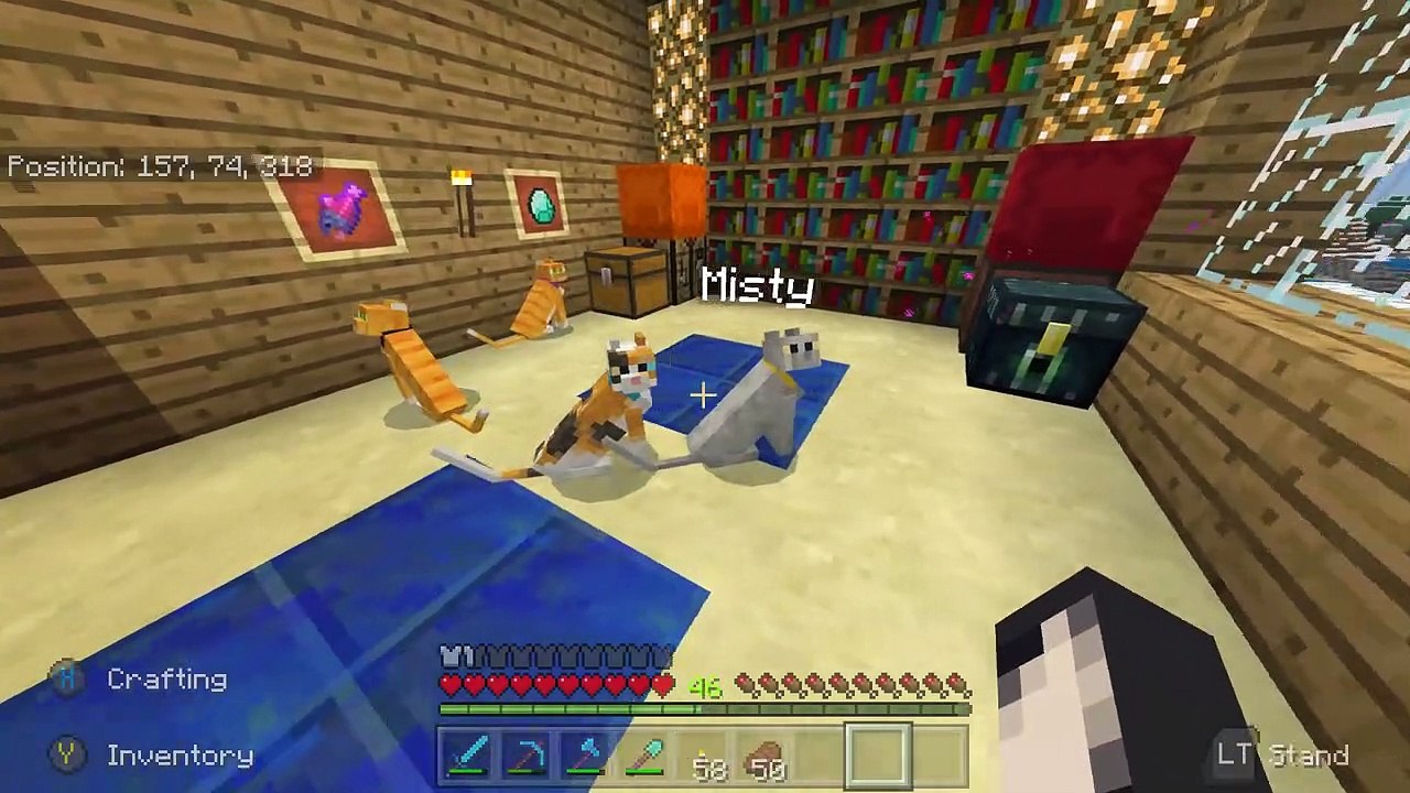 4K Bamboo Forest, Wind & Bird Sounds | White Noise For Sleeping, Relaxation, Studying | Asmr Sounds