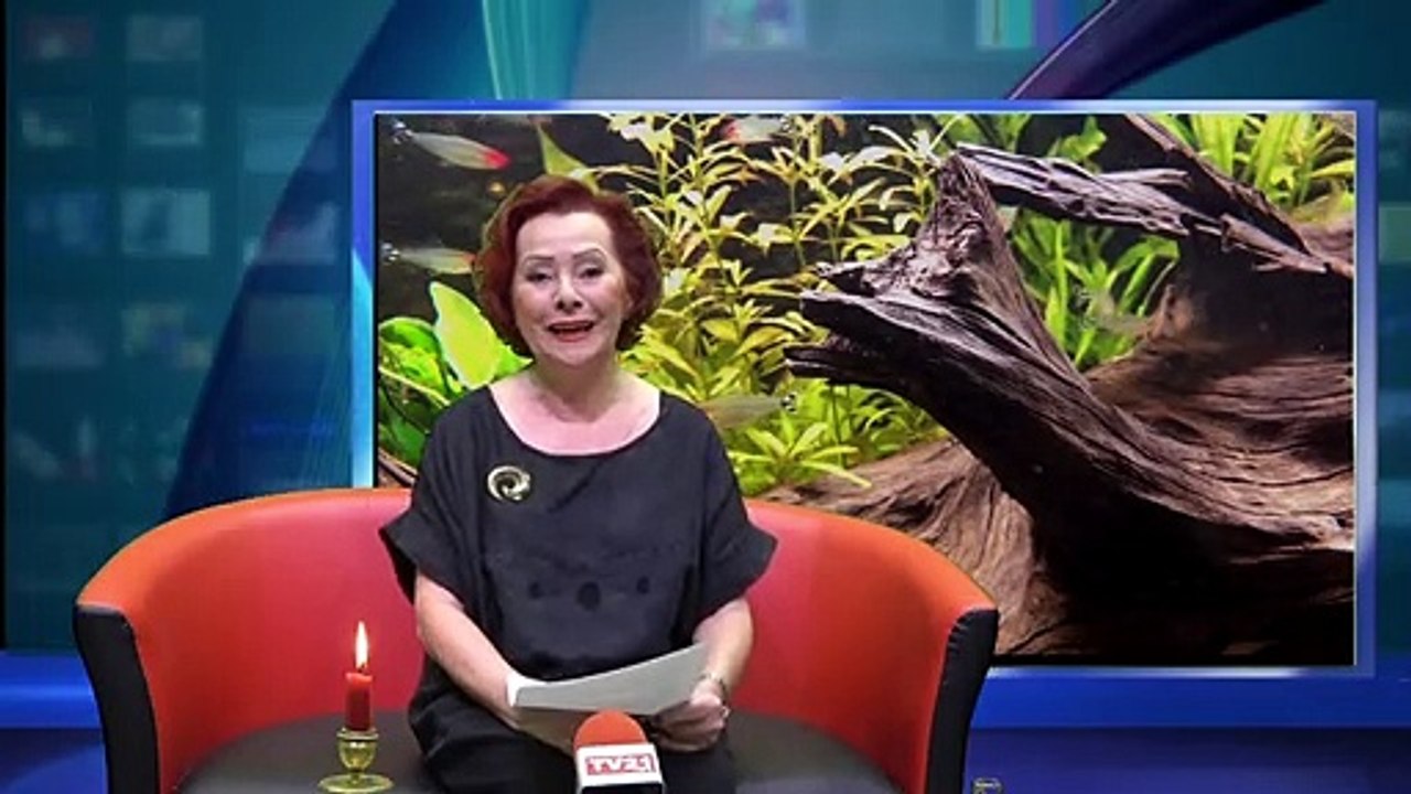 ENERGETISCHES COACHING Folge 27