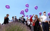 ISPARTA'DA 'LAVANTA GÜNLERİ' BAŞLADI; HEDEF 1 MİLYON ZİYARETÇİ