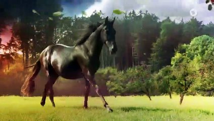 Sturm der Liebe Folge 3488 Gemeinsam Musik hören (2)