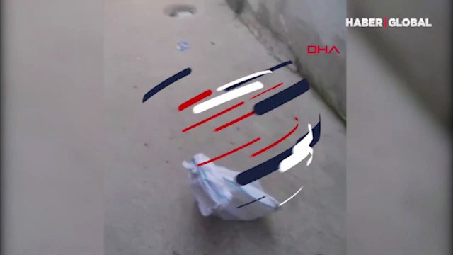 İstanbul Sultangazi'de kediyi çuvala koyup evin bahçesine attılar