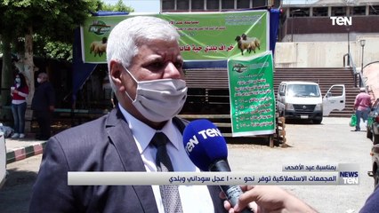 المجتمعات الاستهلاكية توفر نحو 1000 عجل سوداني وبلدي