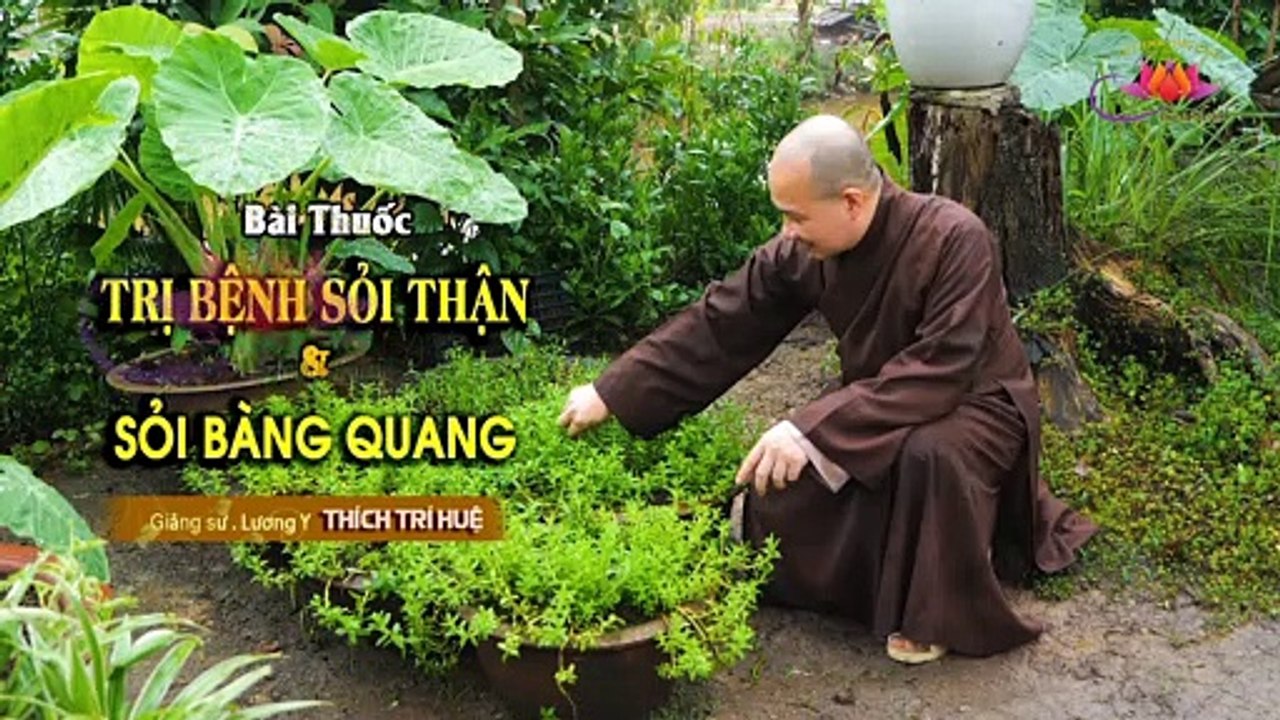 Trị Sỏi Thận - Sỏi Bàng Quang. Cực Kỳ Đơn Giản  Chùa Pháp Tạng Online  #03