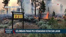 Terjadi Kebakaran Hutan di California Utara AS, Gelombang Panas Ekstrem Diduga Jadi Pemicu