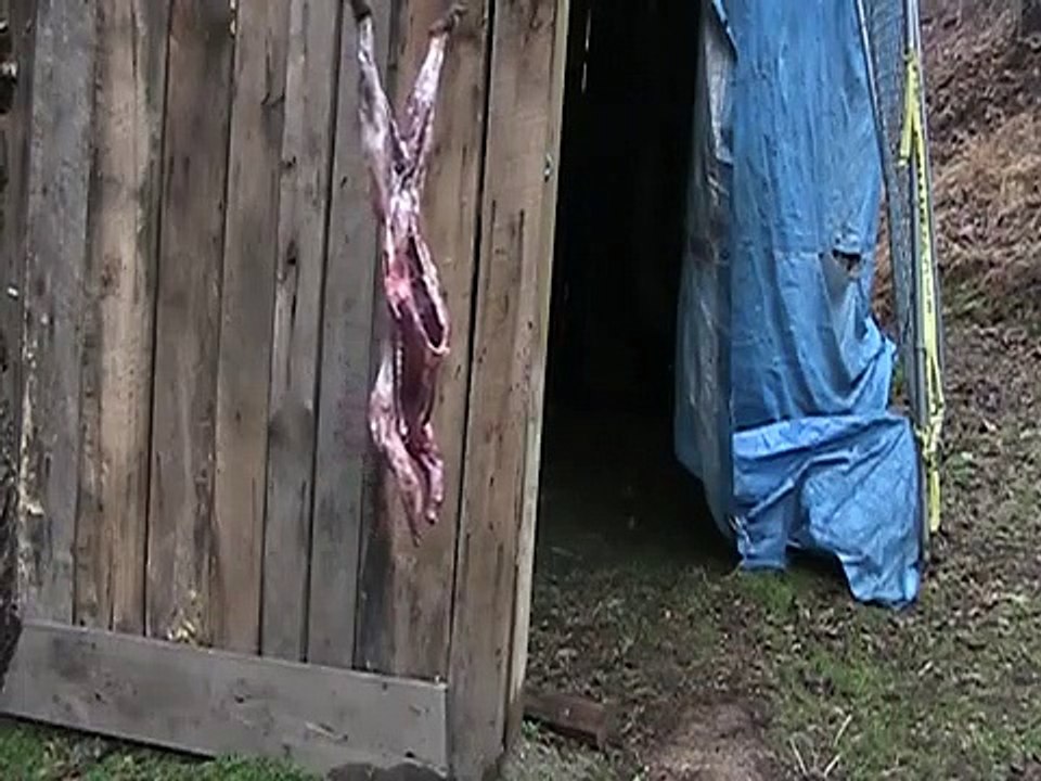 Processing, and cooking Raccoon