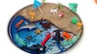 Animales Playa Niños para Niños Aprender nombres oceano arena Mar juguete agua agua agua delfín, tiburón, lobst