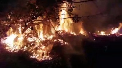 Incêndio de grandes proporções toma conta de área equivalente a campo de futebol no Santa Cruz