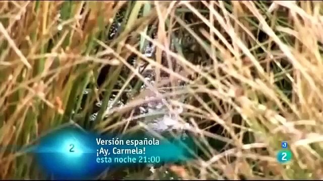 ANIMALES VIDA Y MUERTE EN EL RIO 1 - NATIONAL GEOGRAPHIC - ANIMALS - ANIMALES SALVAJES