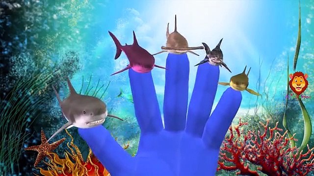 Дельфин Палец Семейные Песни Крокодил Семья Палец Рифмы Для Детей Акула Мультики