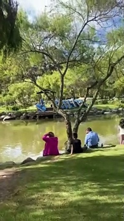 هذا المكان زورته واعتبر اجمل مكان زورته فهذا جنتى على الارض _فعلا جنة روعة