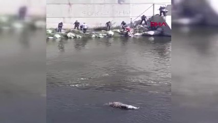 HATAY'DA, ASİ NEHRİ'NDE CESET BULUNDU