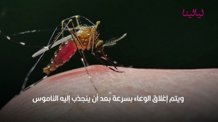 طرق للتخلص من الناموس في المنزل نهائياً