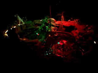 Goldfish Pond at night