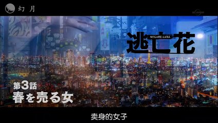 日劇-逃亡花 日語版03