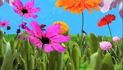 The Secret Life of the American Teenager S02E10 (2)