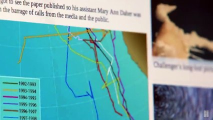 THE LONELIEST WHALE | Official Trailer | Bleecker Street