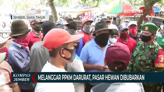 Melanggar PPKM Darurat, Pasar Hewan Dibubarkan, Pedagang Protes
