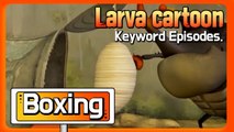 KEYWORD CARTOON | Boxing | Larva Official Channel | Best animation