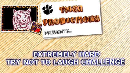 Extremely Hard Try Not To Laugh Challenge - Super Funny Animal Videos